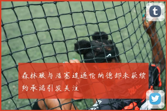 森林狼与活塞追逐伦纳德却未获续约承诺引发关注
